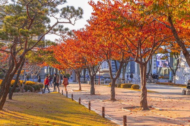 Du lịch Seoul tháng 11