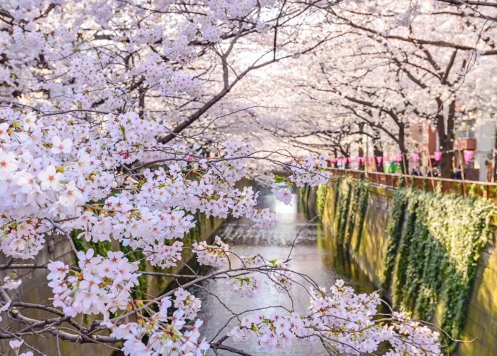 Du-lịch-Tokyo-tháng-3